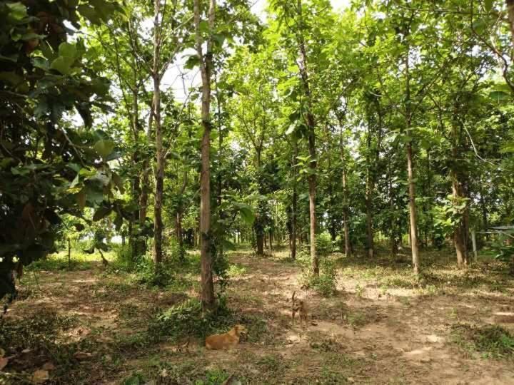 Sainam Holiday Home Phibun Mangsahan Exterior photo